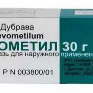 Mast "Levometil Pro": uputstva za upotrebu, indikacije