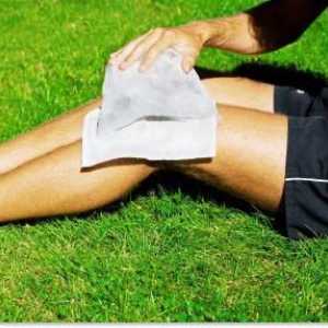 Meniskusa koljena spoja: štete i liječenje