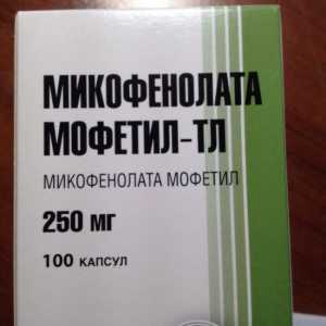 MMF (mikofenolat mofetil): opis, analoga