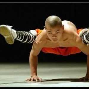 Shaolin Monks: ko su oni zapravo?