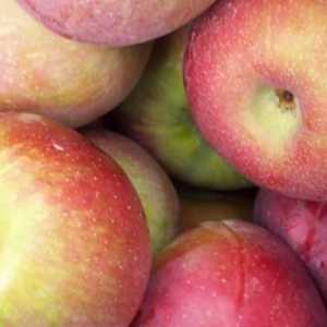 Da li je moguće da zamrzne jabuke za zimu i šta da im kuhati?