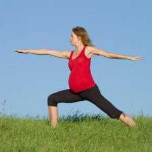 Mogu li se sportom tokom trudnoće? Je li vrijedno da se odrekne aktivnog odmora?