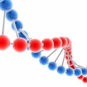 Multifaktorijalno bolest, genetika i njihove prevalencije