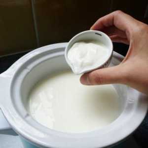 "Narine" (kvasca) uputstvo za upotrebu bakterija mliječne kiseline u kući