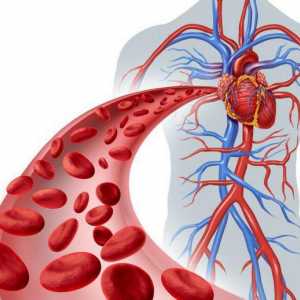 Kršenje perifernu cirkulaciju krvi: tromboza i embolija
