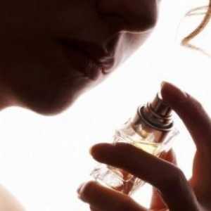 Real francuski parfem - svake žene san