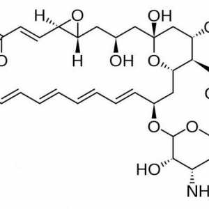 "Natamicin": uputstva za upotrebu. Mast, supozitorija i tableta "Natamicin"