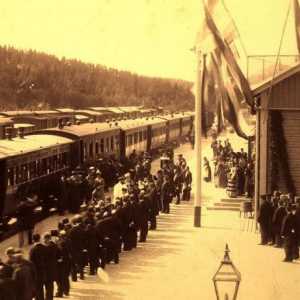 Nekrasov, "željeznička": Analiza. "Railway" Nekrasov tema, ideja pesme
