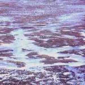 Neobična prirodni fenomen - permafrosta