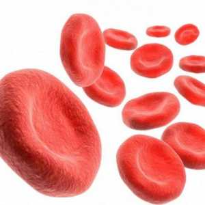 Norma hemoglobina u krvi u djece i odraslih