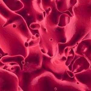 Ono što mogu govoriti o krvnog ugruška u toku menstruacije?