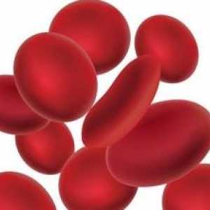 Ono što mogu reći povišene eritrocita u krvi u krvi