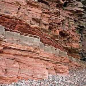 Detrital klastične stijene: opis, vrstama i klasifikaciji