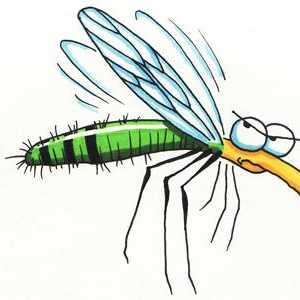 O svemu: koliko živi komarca?