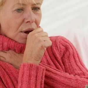 Opis, dijagnoza, liječenje i simptomi bronhitisa u odraslih i djece