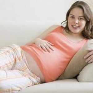 Mi smo odrediti pol deteta: znakovi trudnoće mladić i djevojka