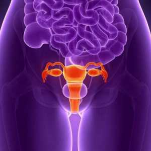 Propust maternice: Simptomi i tretman, recenzije, slike, vježbe