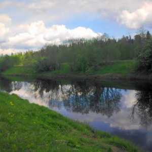 Oredezh - rijeka u Lenjingradu regije. Pritoka i geografske karakteristike protoka vode. Ribolova i…