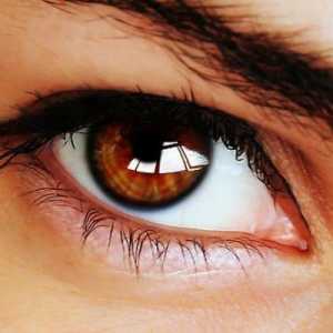 Ono što određuje ono što su ti boje oči