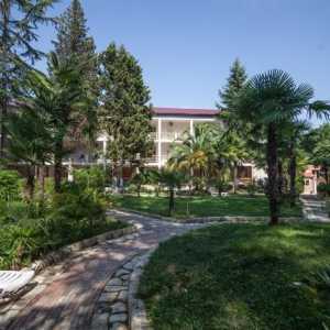 Hoteli u Abhaziji. Abhazija: hotelima "all inclusive". Najboljih hotela u Abhaziji