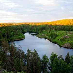 Jezero u regiji Leningrad će dati nezaboravan odmor