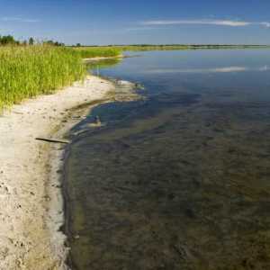 Jezero je slano, Kurgan regija. Lake Kurgan regija