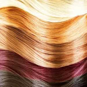 Paleta boja za kosu "Vratar": Uvijek savršen rezultat