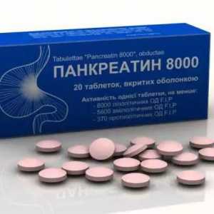 "Pancreatin 8000": uputstva za upotrebu. Tablete "Pancreatin" od čega?