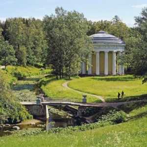 Pavlovsk Park u blizini: St. Petersburg