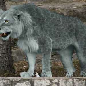 Pećinski lav - drevni predator