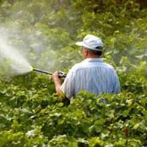 Pesticidi - supstance koje ubijaju štetočine