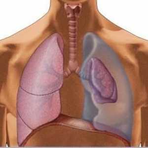 Pneumotoraks pluća: uzroci, simptomi i prvu pomoć