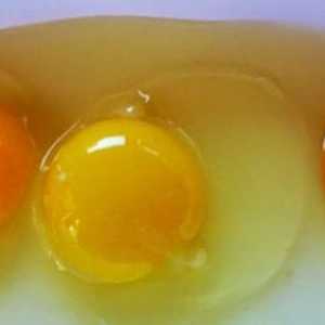 Zašto kokoši nose jaja bez ljuske? Šta da nahrani kokoši nesilica kod kuće