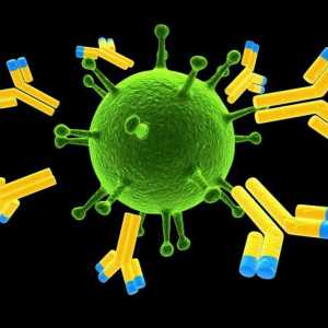 Zašto neki ljudi nisu bolesni dvaput bolest: razvoj imuniteta, vakcinacija