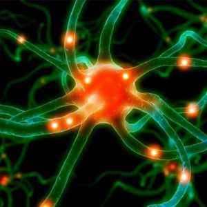Zašto postoje neuritis od trigeminusa? Simptomi i liječenje bolesti