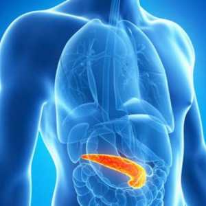 Pankreas Anatomija: funkcije i bolesti
