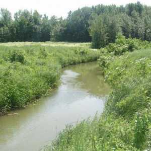 Meadows: opis, karakteristike. Vegetacije i tla poplavljeno livadama