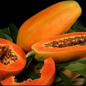 Korisni svojstva papaje - za zdravlje i ljepotu