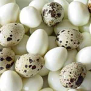 Korištenje prepelice jaja, i svi oni