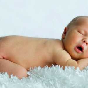 Potnichka beba: kako tretirati? Dokazana načinima borbe potnichkoy bebe
