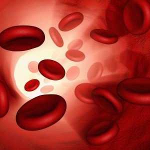 Povećava hemoglobina u krvi pravilno