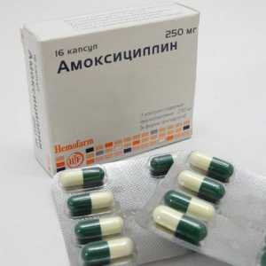 Lek "amoksicilin": uputstva za pilule upotrebu ili kako da pobjedi infekcije