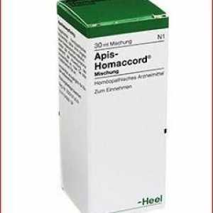 Lek "Apis", homeopatija: instrukcija, čitanja