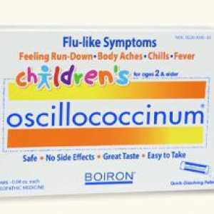 Proizvod "Oscillococcinum": analogni. Šta može zamijeniti "Oscillococcinum"?