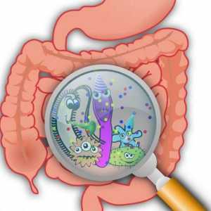 Pripreme za normalizaciju crijevne mikroflore: popis i opis droga