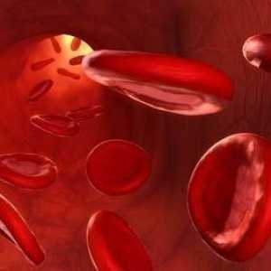 Formulacije za povećanje hemoglobina: Metode korištenja i tretmana način zamjene droge