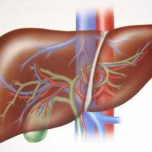 Razloge i prve znakove ciroze jetre