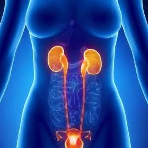 Uzroci i simptomi uretritis kod žena