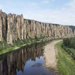 Priroda Perm Krai. Biljke i životinje u Perm Krai