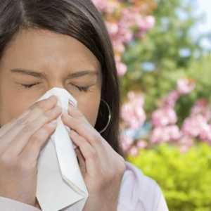 Simptome alergije kod odraslih. proljeće alergije